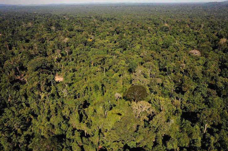 Vista aérea de diciembre de 2011 de la reserva amazónica de Trairao, en el estado brasileño de Para. (Lunae PARRACHO /AFP)