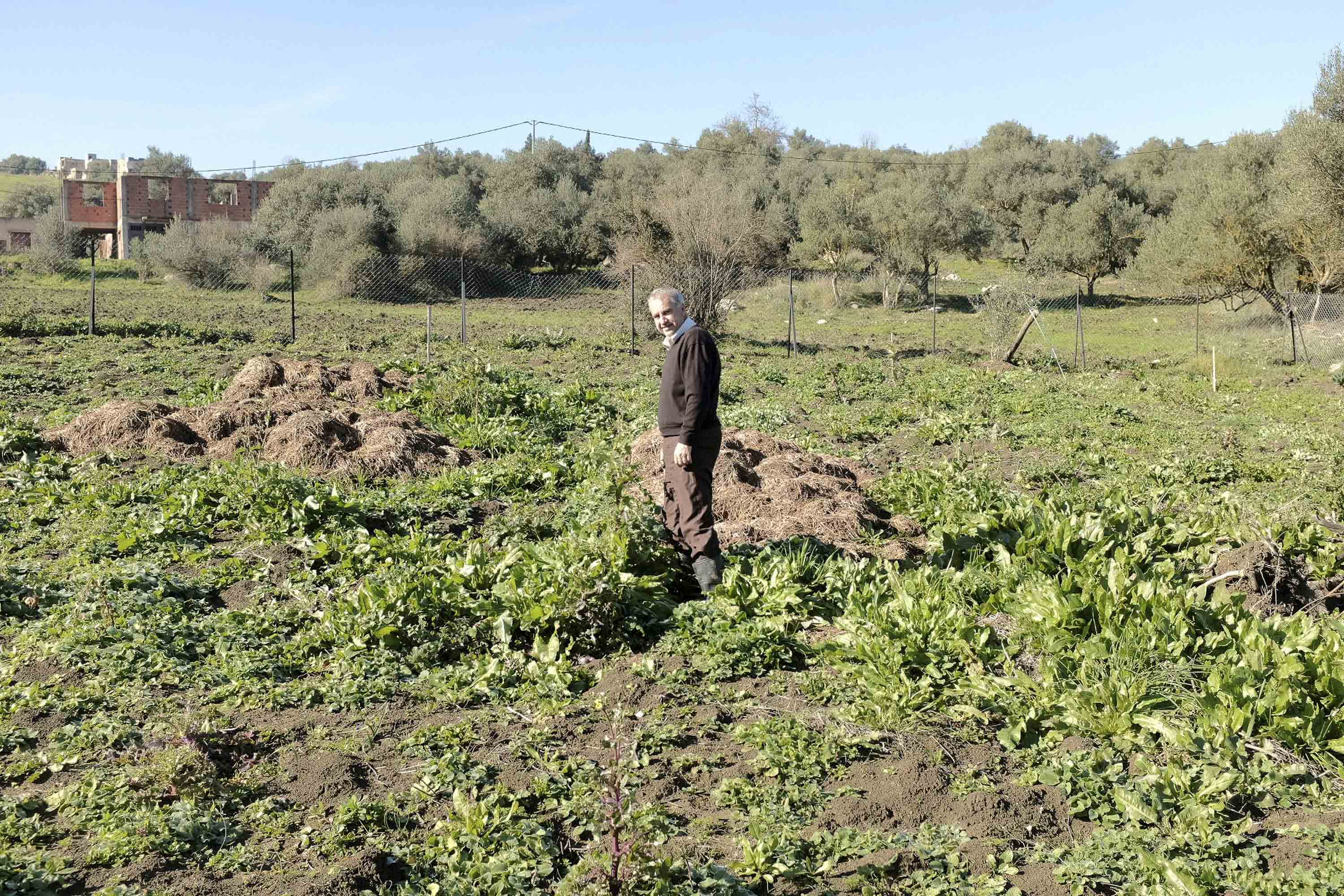 Arab en el terreno donde pretende cultivar la huerta y volver a ser autosuficiente