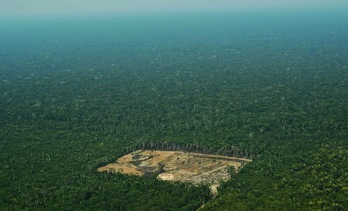 Imagen de archivo de un área deforestada en el oeste de la Amazonía brasileña. (Carl DE SOUZA / AFP)