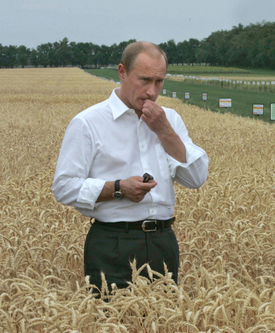 Visita a una feria agrícola en Rostov-on-Don. (Vladimir RADIONOV/AFP)