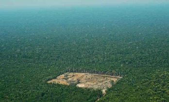 Área deforestada en el este de la Amazonia brasileña (Calr DE SOUZA/AFP)
