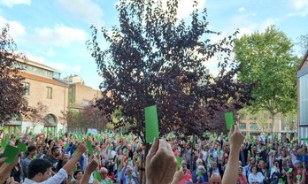 Votación a mano alzada de Más Madrid para la toma de decisión sobre presentarse a las elecciones. (vía @MasLatina)