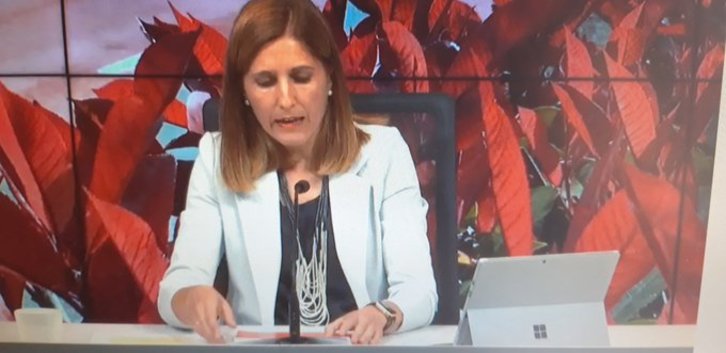 Elena Unzueta, portavoz de la Diputación de Bizkaia, durante la comparecencia.