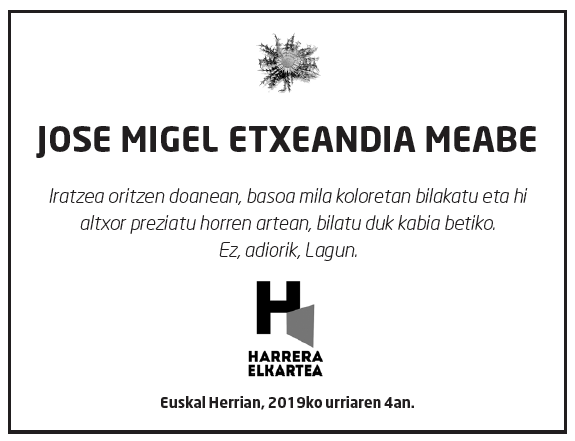 Jose-migel-etxeandia-meabe-6