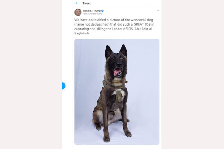 Tuit en el que Trump hablaba el martes del perro. (AFP)