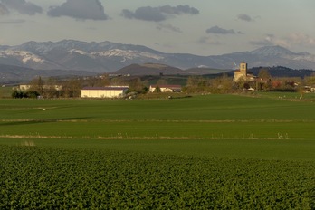 Cultivos de la Llanada Alavesa. (Jaizki FONTANEDA / FOKU)