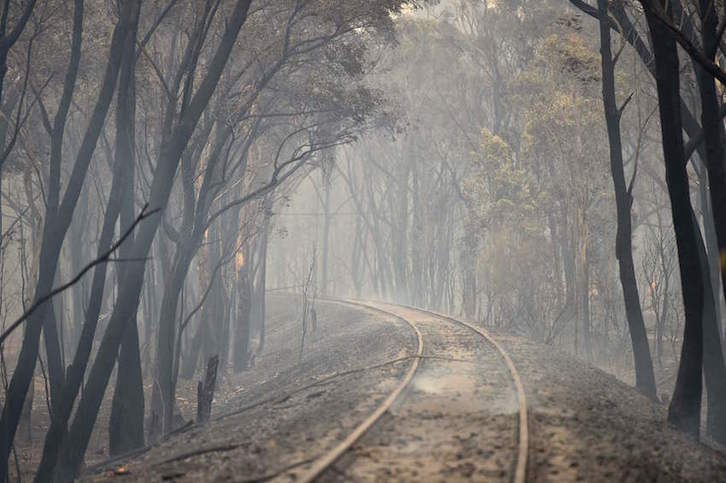 Un bosque quemado en Balmoral, a 150 kilómetros al suroeste de Sidney. (Peter PARKS/AFP)