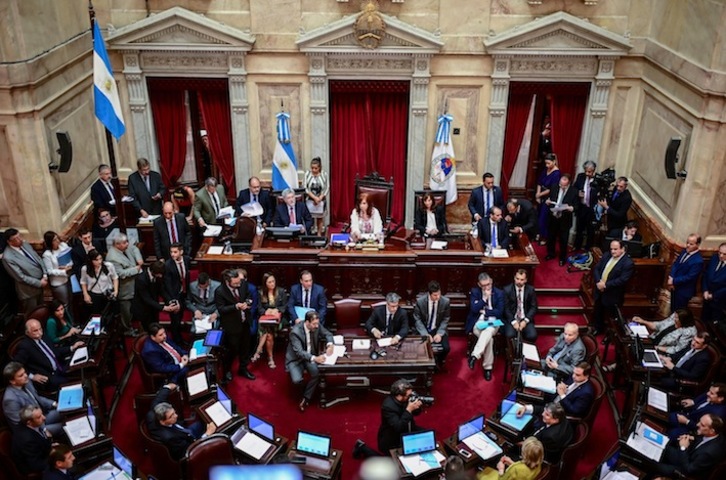 Los senadores debaten la ley de emergencia propuesta por el Gobierno de Alberto Fernández. (Ronaldo SCHEMIDT / AFP)