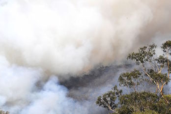 Humareda provocada por el fuego en un bosque de Nueva Gales del Sur. (Saeed KHAN/AFP)