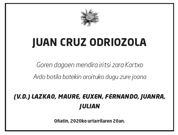Juan-kruz-odriozola-in%cc%83urritegi-2