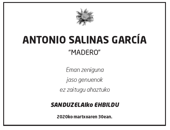 Antonio-salinas-garci%cc%81a-3