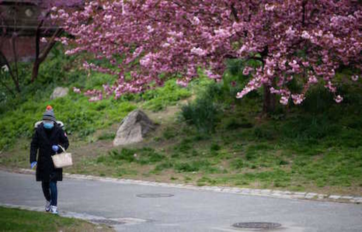 Una mujer pasea con mascarilla por un parque de Nueva York.  (Johannes EISELE/STF)