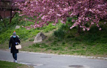 Una mujer pasea con mascarilla por un parque de Nueva York.  (Johannes EISELE/STF)