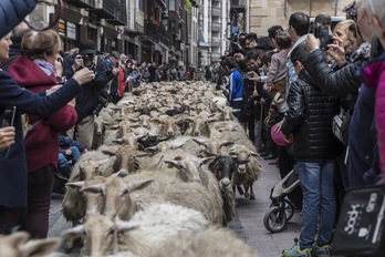 EHNE Gipuzkoa llama la atenci`ón por la situación de los y las pastoras. (Gorka RUBIO/FOKU)