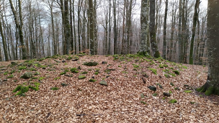 El dolmen de Fagamendi, antes del destrozo. (Iñaki VIGOR)