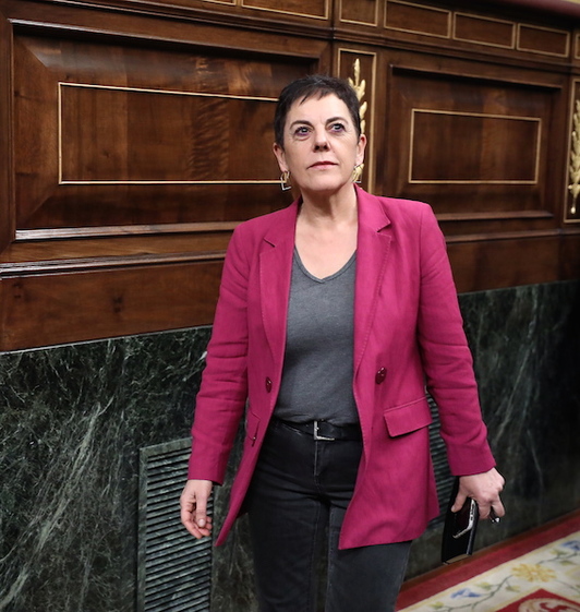 Mertxe Aizpurua defenderá en el Congreso la posición de EH Bildu. (J.DANAE/FOKU)