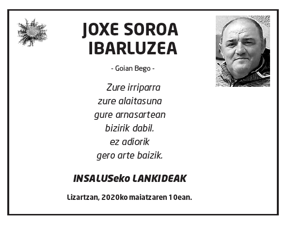 Joxe-soroa-ibarluzea-1