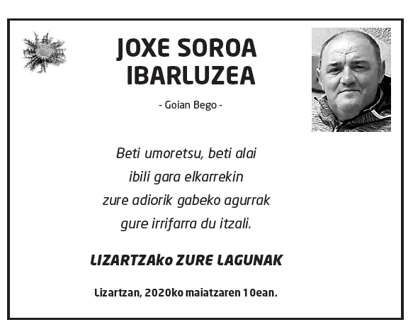 Joxe-soroa-ibarluzea-2