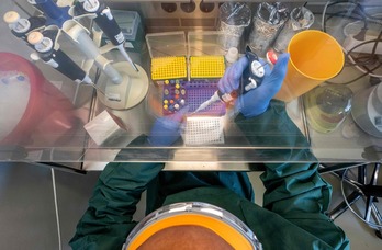 Un biólogo molecular preparando un test de tipo PCR. 