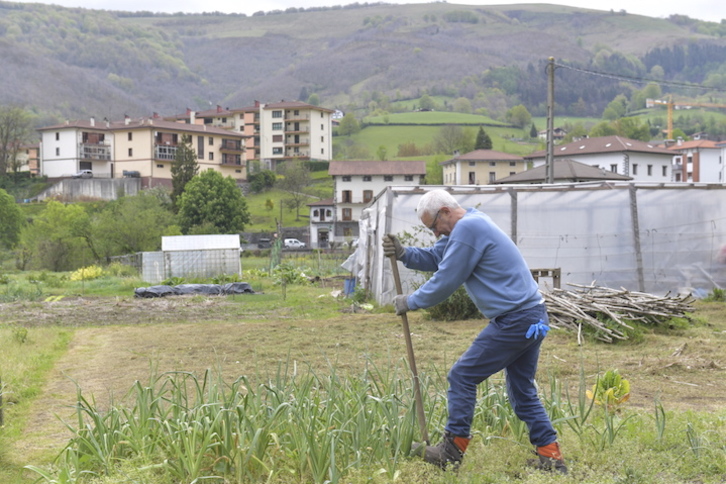 Un hombre trabaja en la huerta en Leitza. (Idoia ZABALETA/FOKU)