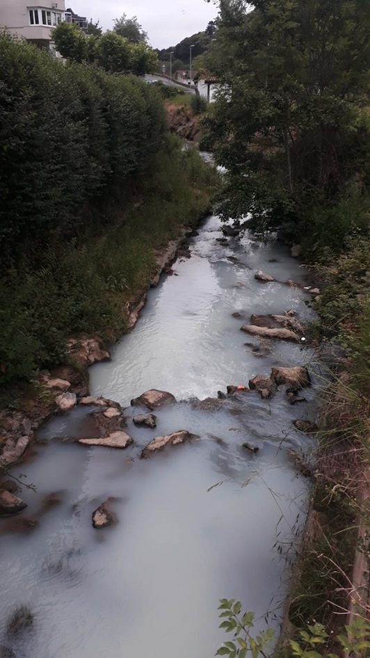 Mijoa errekako isurketaren irudia. (MUTRIKUKO NATUR TALDEA)