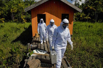 Sanitarios en la isla brasileña de Salvaçao. (Tarso SARRAF/AFP)