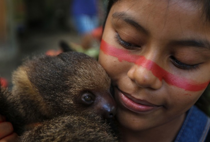 Una niña satere-mawe abraza a un perezoso en Wakiru,en una zona rural al oeste de Manaos. (Ricardo OLIVEIRA / AFP) 