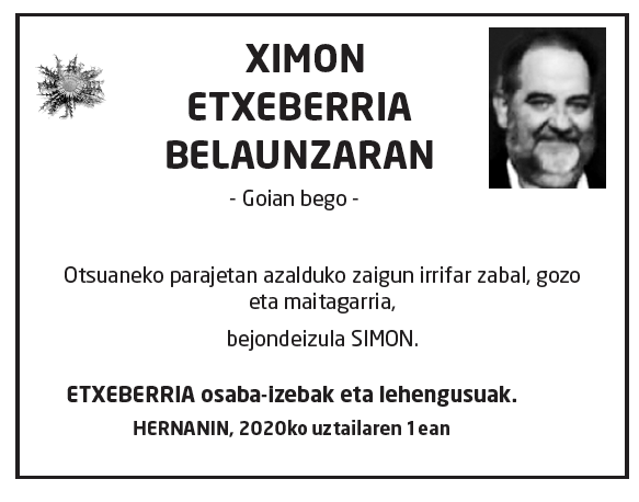 Simon-etxeberria-belaunzaran-2