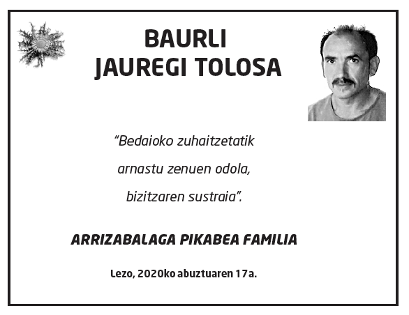 Baurli-jauregi-tolosa-2