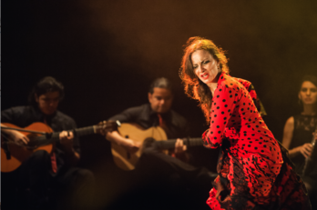 Carmen la Talegona actuará en la Plazuela de San José. (FLAMENCO ON FIRE) 