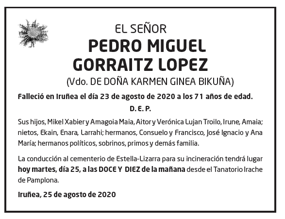 Pedro-miguel-gorraitz-lopez-1