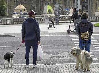 En Nafarroa se ha celebrado el primer juicio por una sanción por alejarse demasiado de su domicilio al pasear a su perro en el estado de alarma.