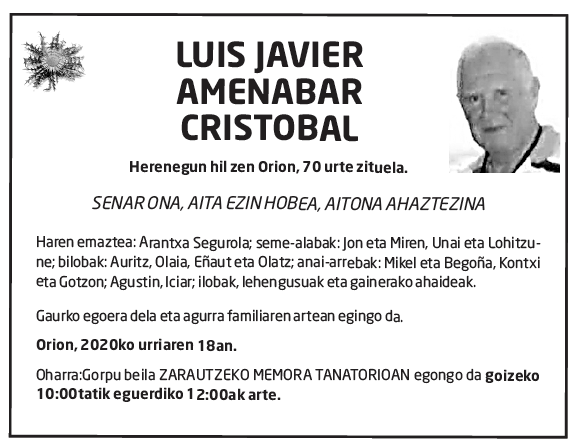 Luis-javier-amenabar-cristobal-1