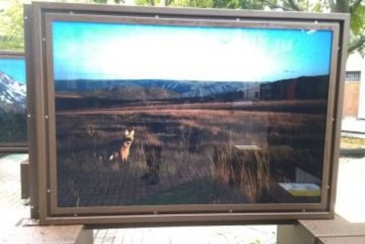 Una de las imágenes que integra la exposición ‘De Polo a Polo’. (AYUNTAMIENTO DE IRUÑEA)