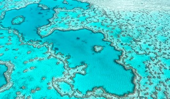 Gran Barrera de Coral. (Yanijf/GETTY IMAGES).