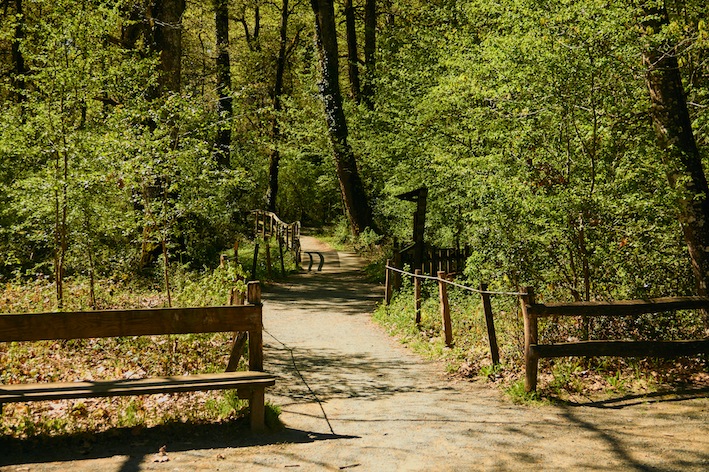 El Bosque De Orgi Salvaje Y Tranquilo Viajes Naiz 5081