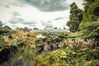 Imagen de Kew Gardens (GETTY IMAGES).