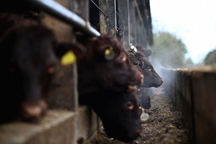 Imagen de una granja de Sussex. (Ben STANSALL / AFP)