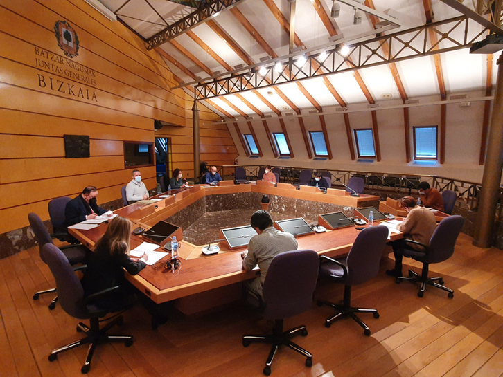 Comparecencia de representantes del comité de empresa del IFAS en las Juntas Generales de Bizkaia.