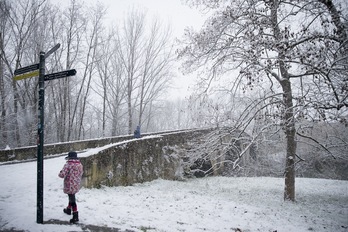 La nieve cubrió Nafarroa durante el paso del temporal Filomena. (Iñigo URIZ/FOKU)