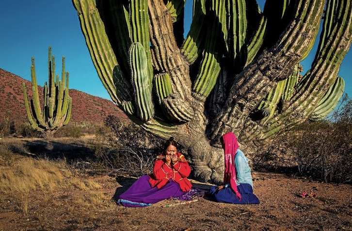 Lidya, la chamana de Punta Chueca, y Guillermina realizan una ceremonia de purificación bajo un cactus gigante.