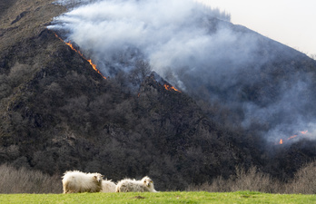 Un incendio avanza de forma descontrolada a causa del fuego desde Bera. (Jagoba MANTEROLA/FOKU)