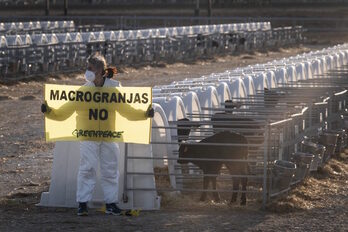 Protesta de Greenpeace en la macrogranja de Caparroso. (GREENPEACE)