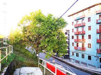 Imagen del roble de Herrera en el terraplén junto a la estación de tren. (NAIZ)