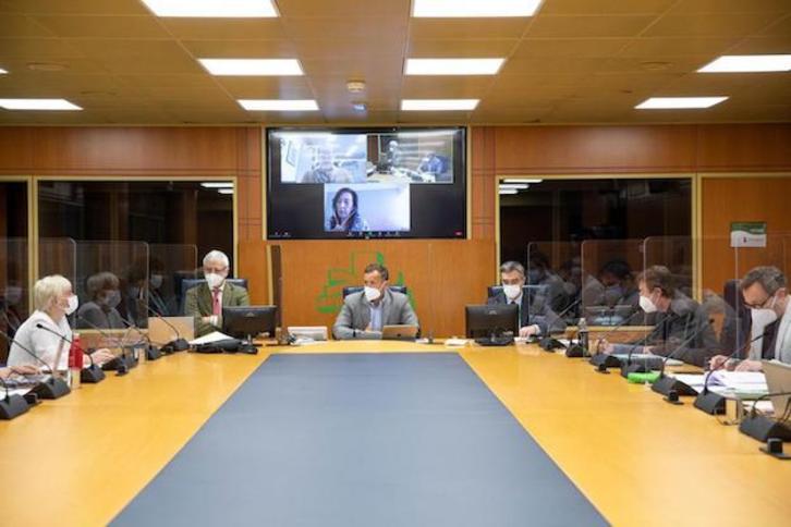 Imagen de la reunión de la Comisión de Salud, celebrada este miércoles. (PARLAMENTO VASCO)