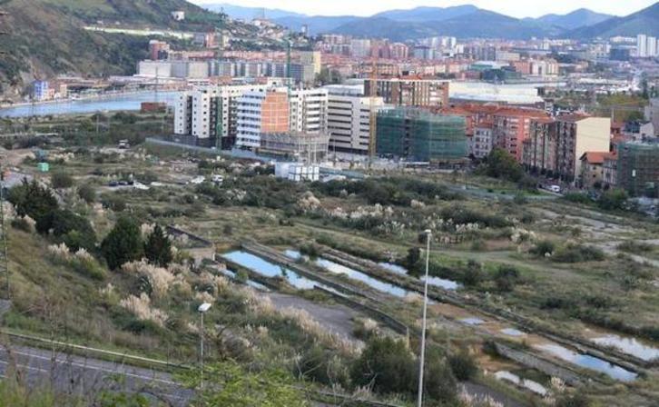 Terrenos de Sefanitro, en Barakaldo. (@BarakaNaturala)