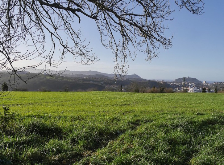 La loma de Antondegi, con Donostia y el mar al fondo. (Antondegi Berdea)