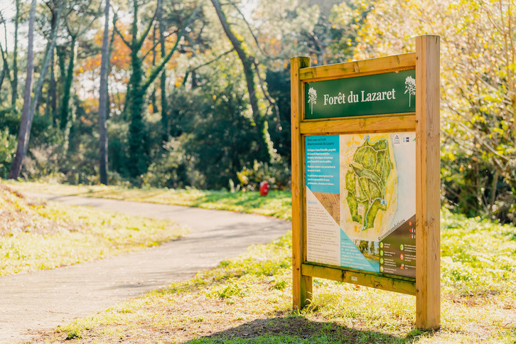 Bosque de Lazaret, en Angelu, donde se ha escapado la vaca. (ANGLET TOURISME)