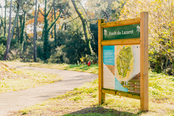 Bosque de Lazaret, en Angelu, donde intentan localizar al toro huido. (ANGLET TOURISME)