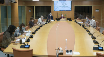 Imagen de la reunión de la Ponencia para la Ley Antipandemia. (Parlamento Vasco)